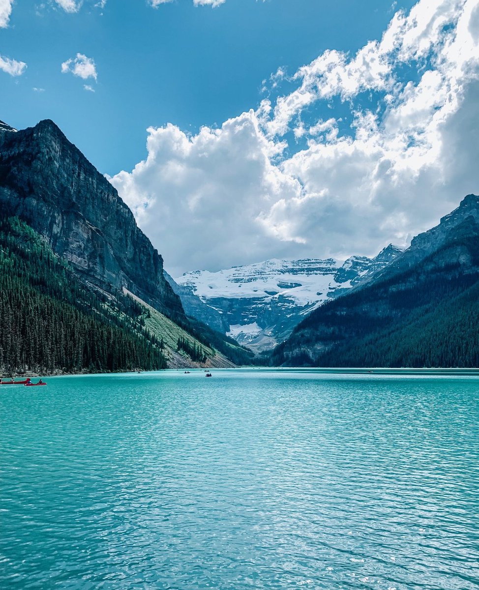 谷口 結穂 tweet media