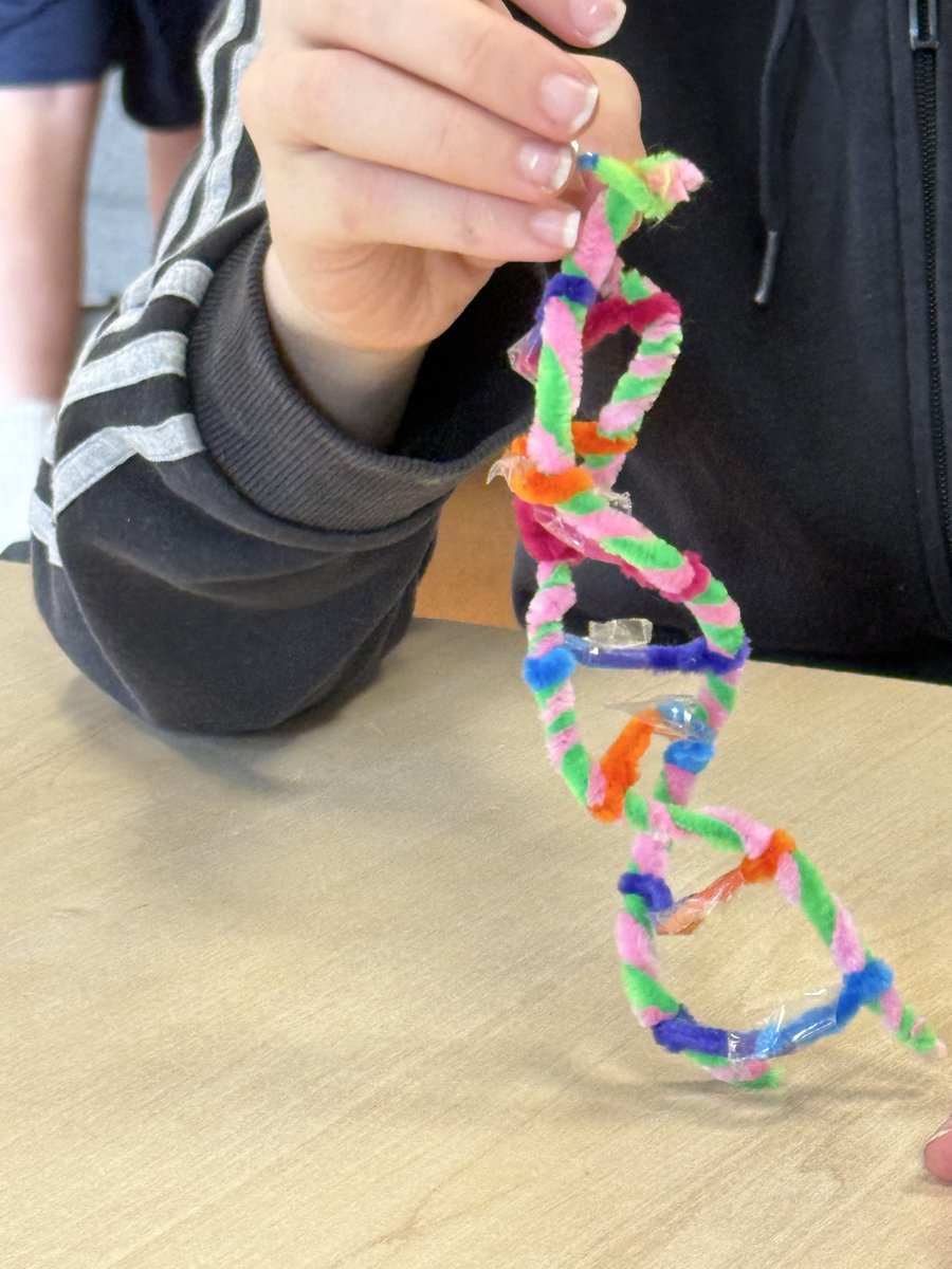 educ8 group tweet media