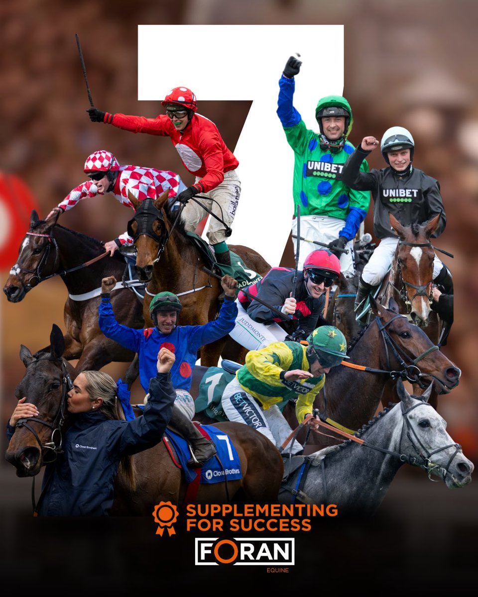 Foran Equine tweet media