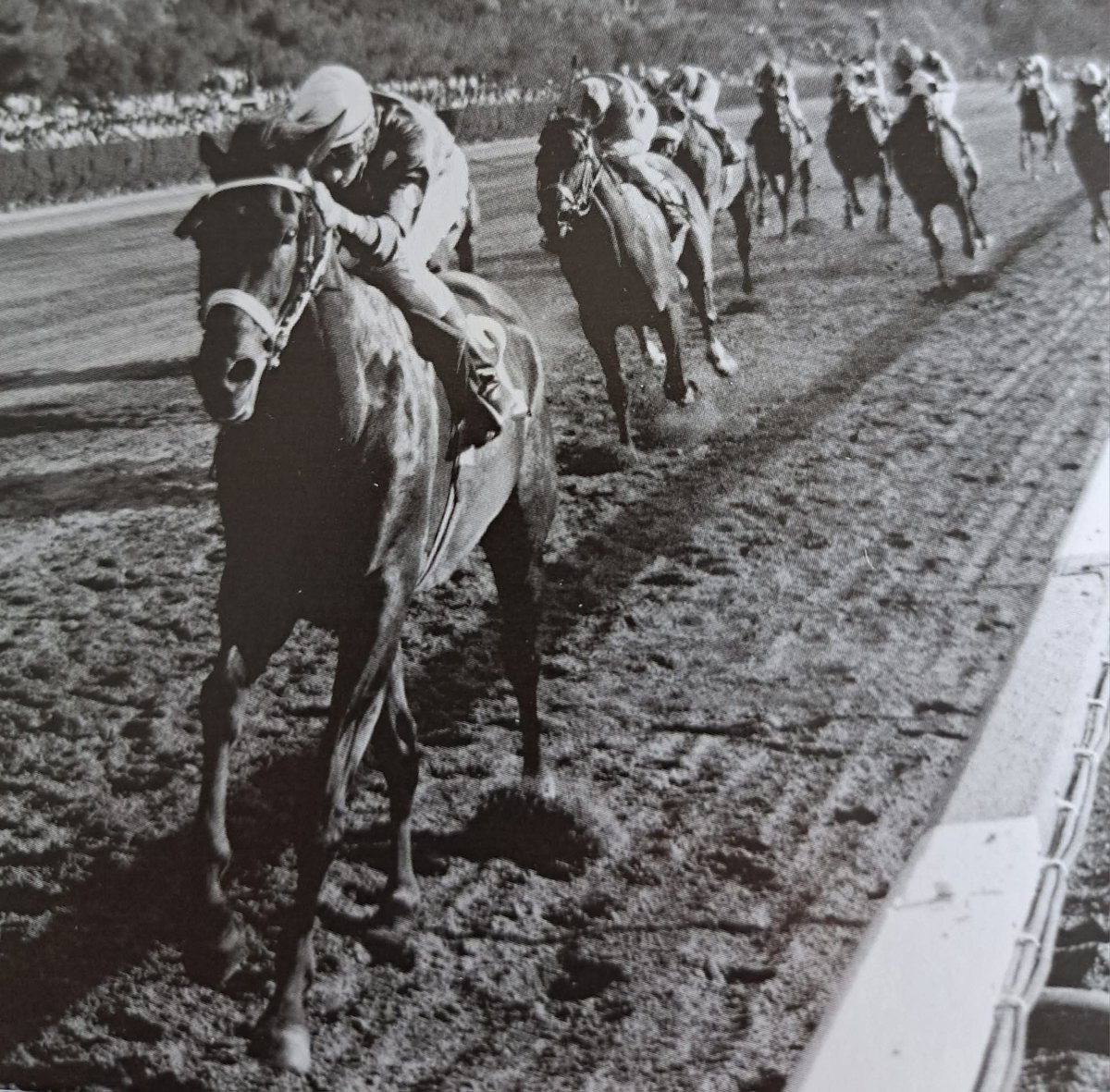HORSERACING1002's tweet photo. GUADAMUR 🇲🇽1966
(TALGO II-MELUSINA BY MY BABU )
#Guadamur https://t.co/b6OhACV4cT