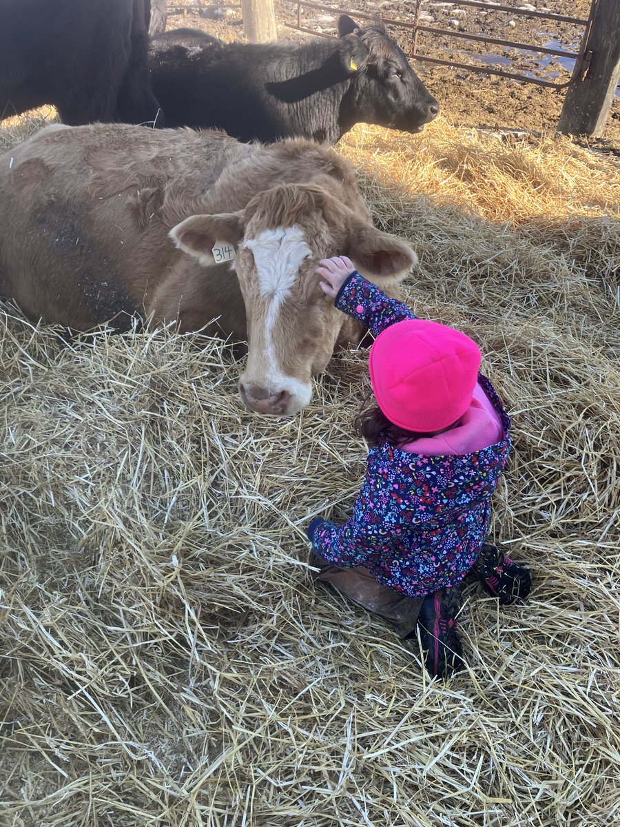 Chris Macfarlane tweet media