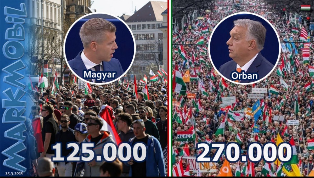 Ferenc Török tweet media