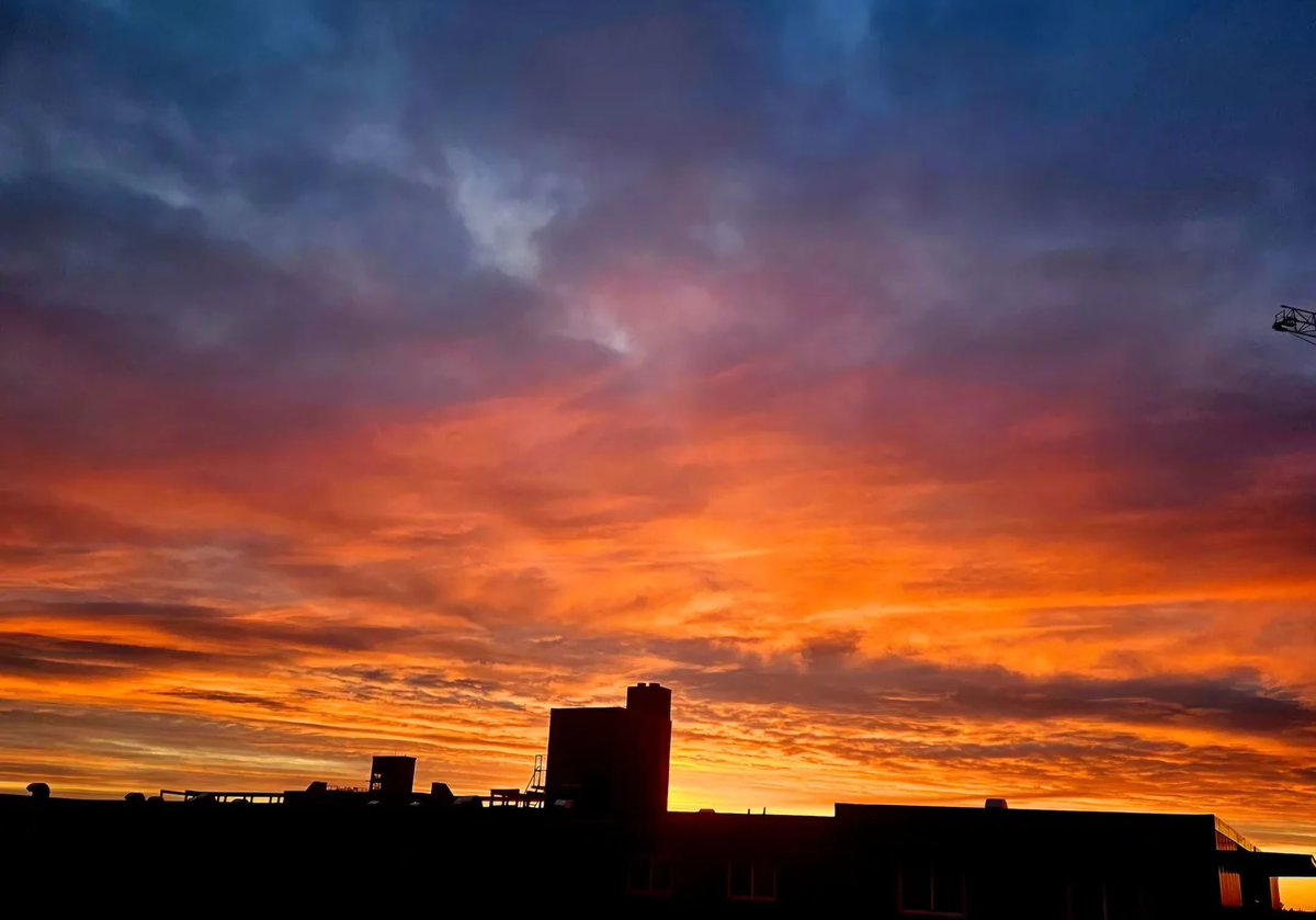 Shannaniganz (Shanna Gorassini) 🩵 tweet media