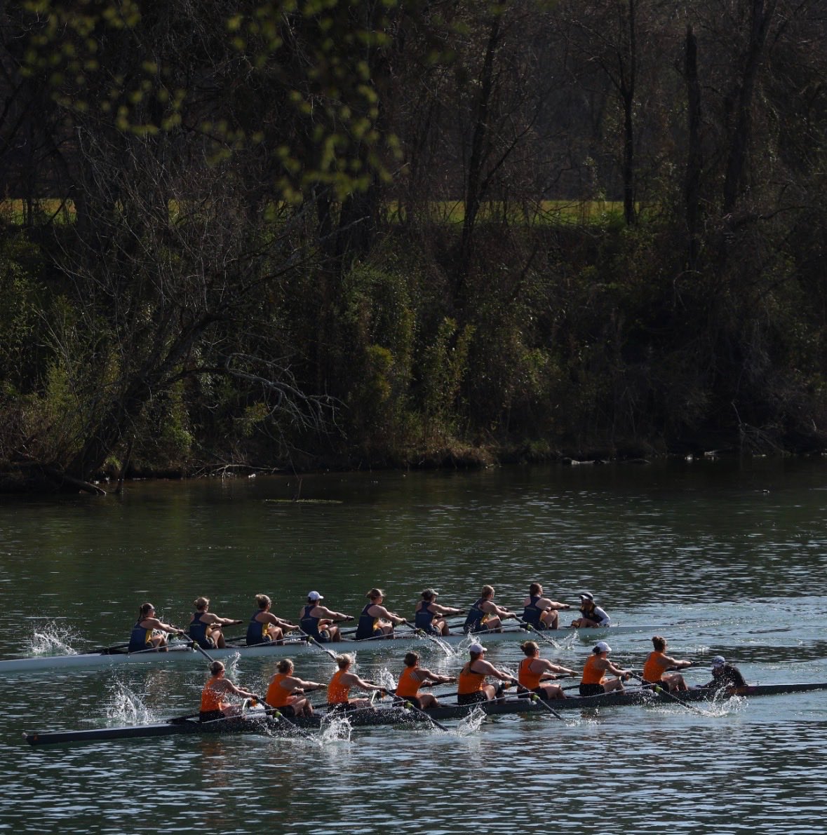 Tennessee Rowing tweet media