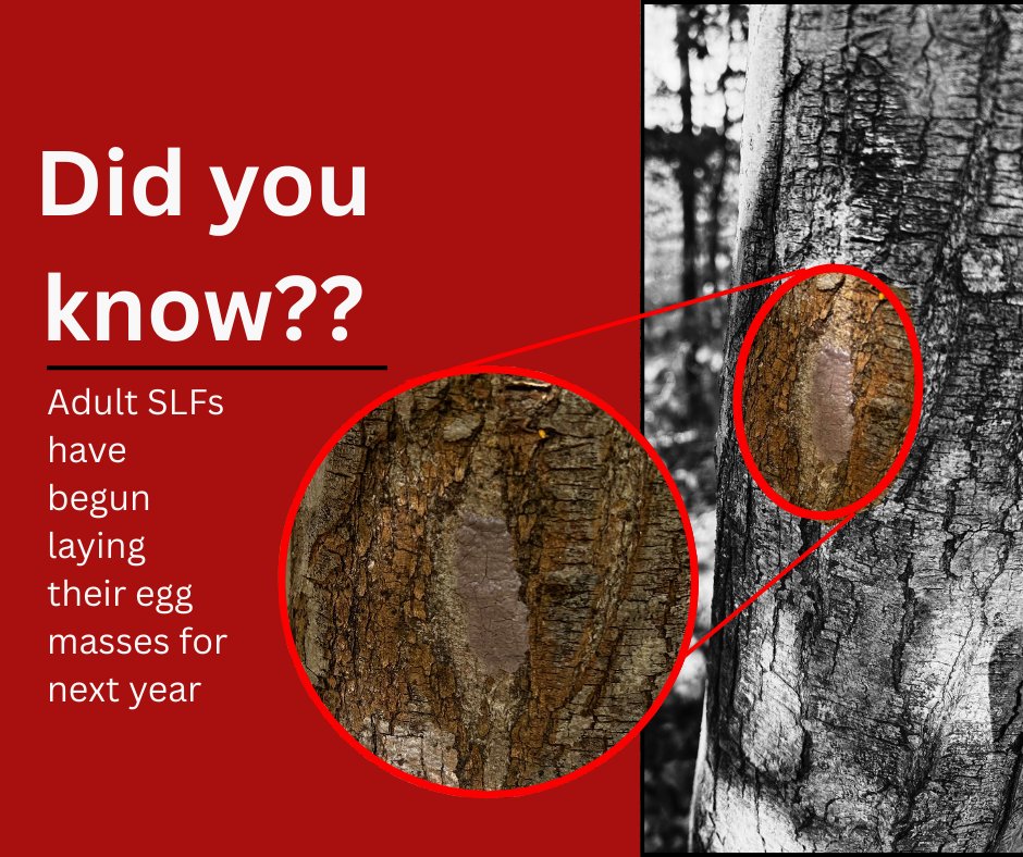 Fairfax County Public Works tweet media