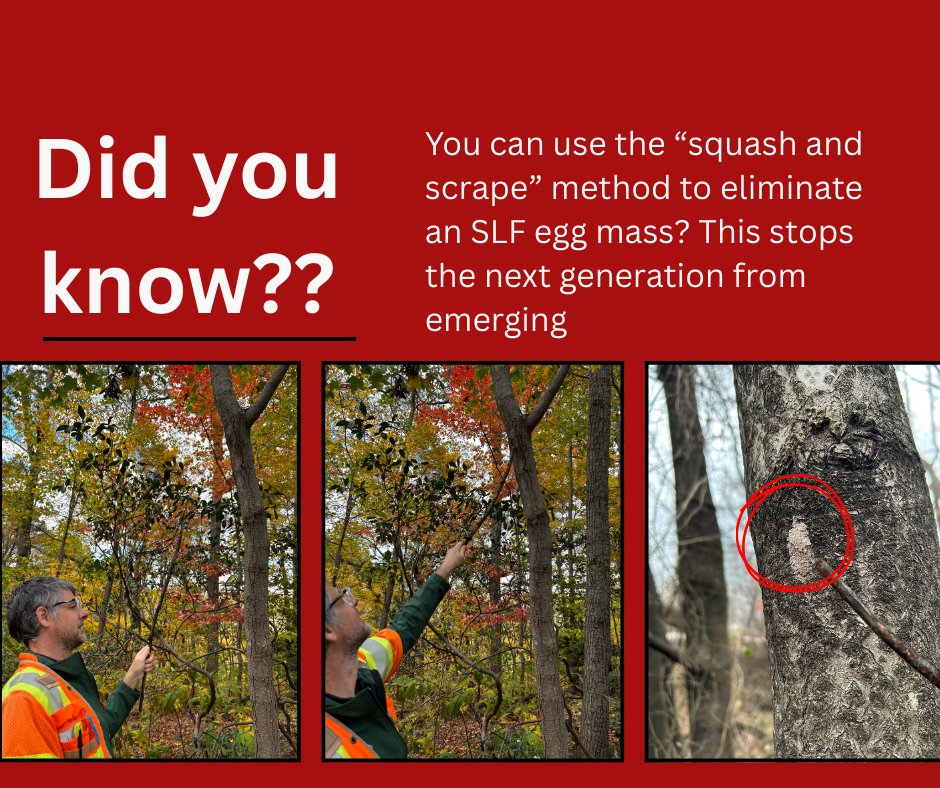 Fairfax County Public Works tweet media