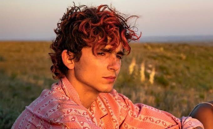 hadrianmarlowe_'s tweet photo. Oscar or not, his filmography still remains one of the greatest this century https://t.co/chZWvMbLmp