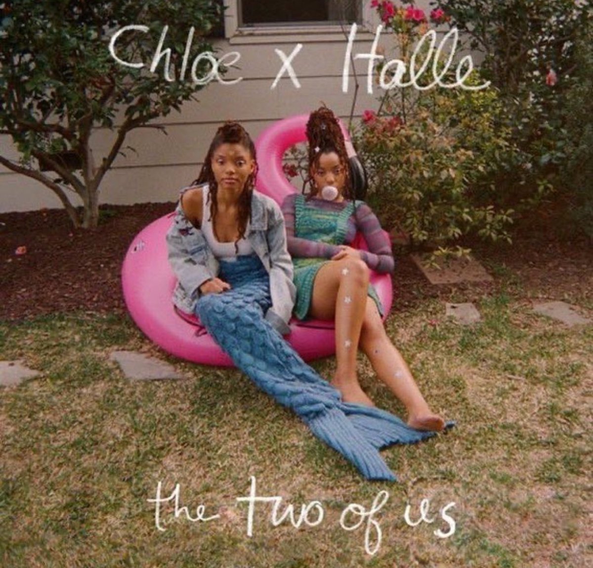 TRBD 🩸 tweet media