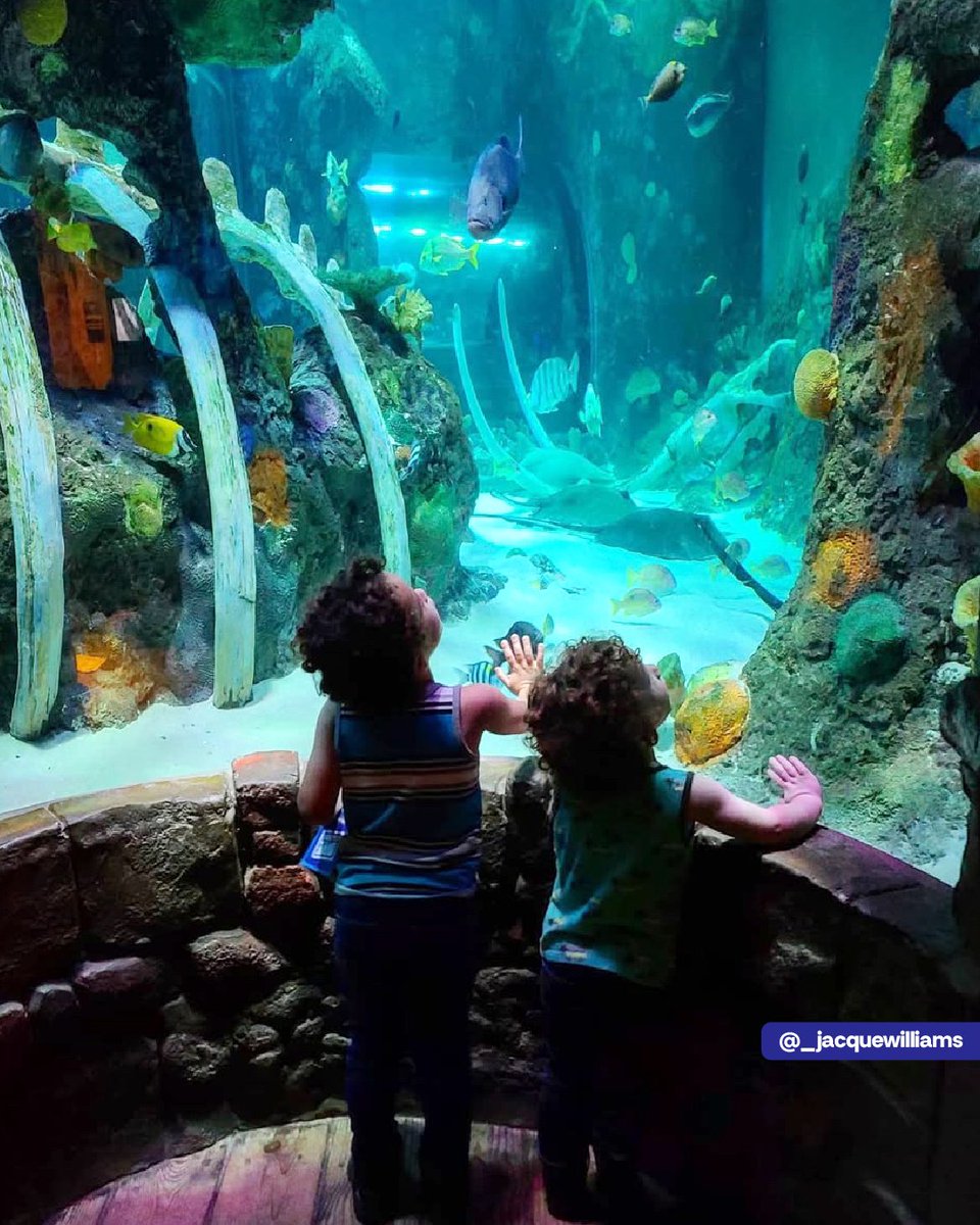 Crown Center tweet media