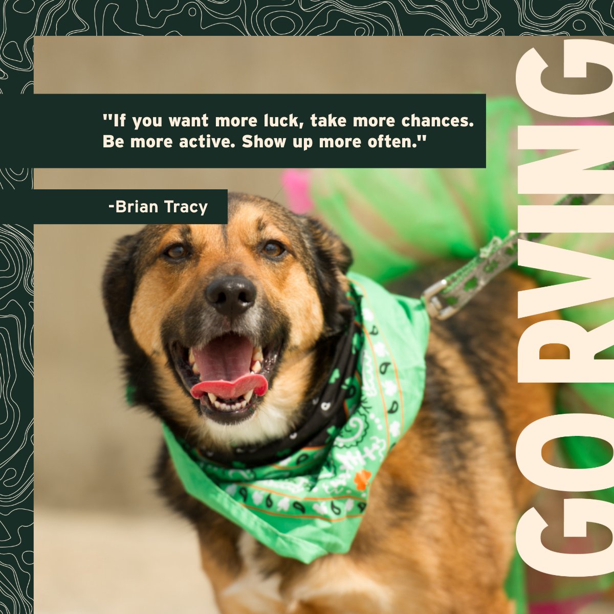 Go RVing tweet media