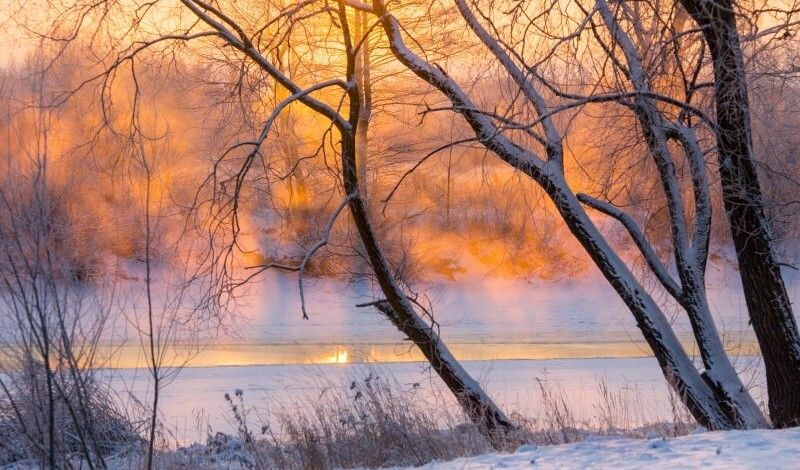 The Regulatory Review tweet media