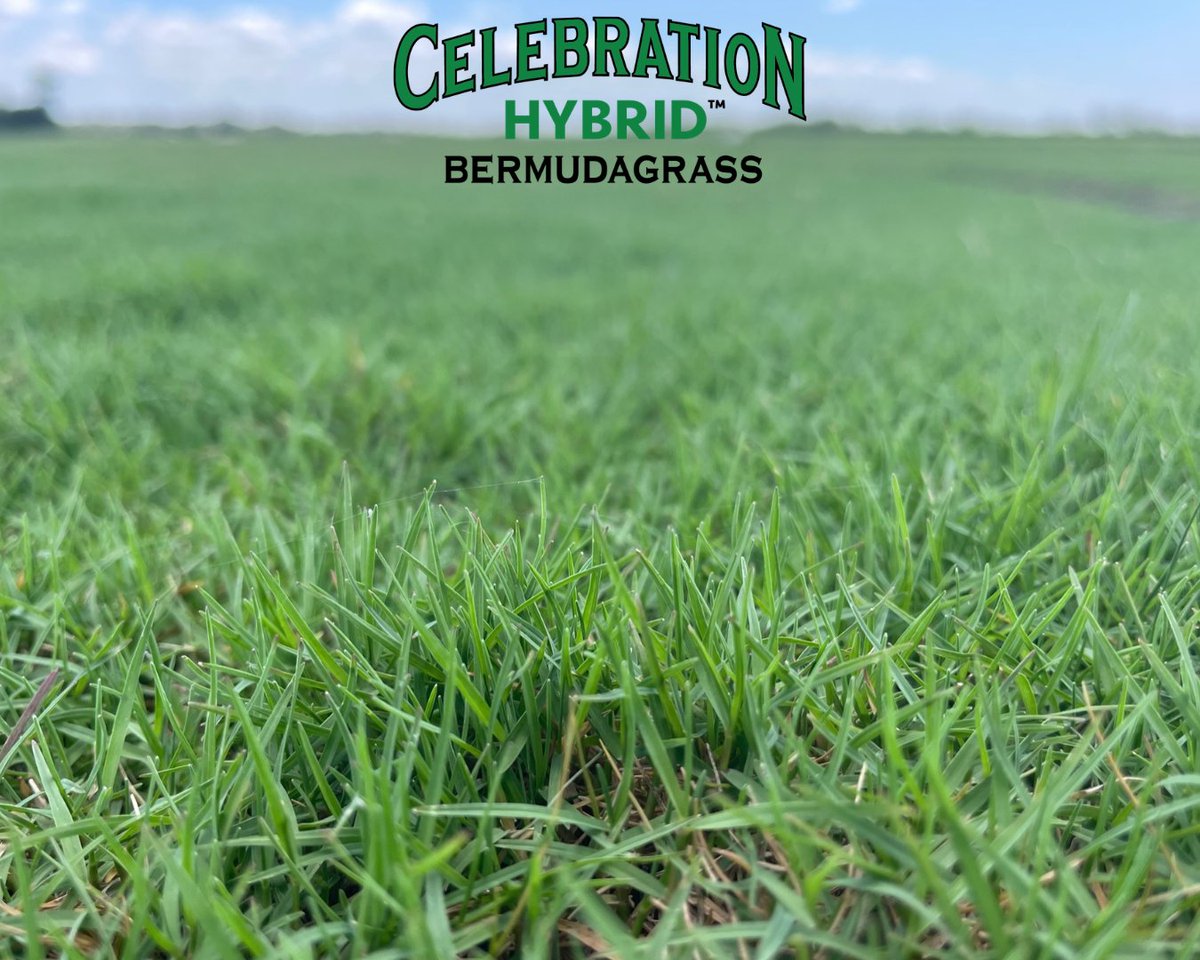 Sod Solutions tweet media