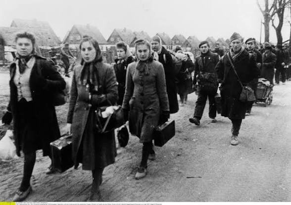 Alain Weber tweet media