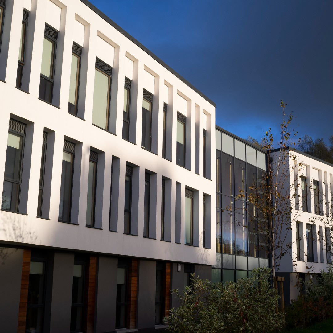 Study At Ulster tweet media