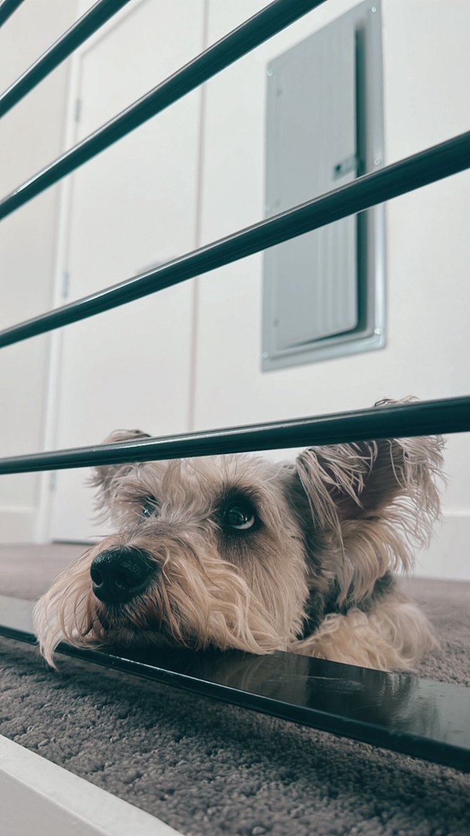 Velly Cardwell tweet media