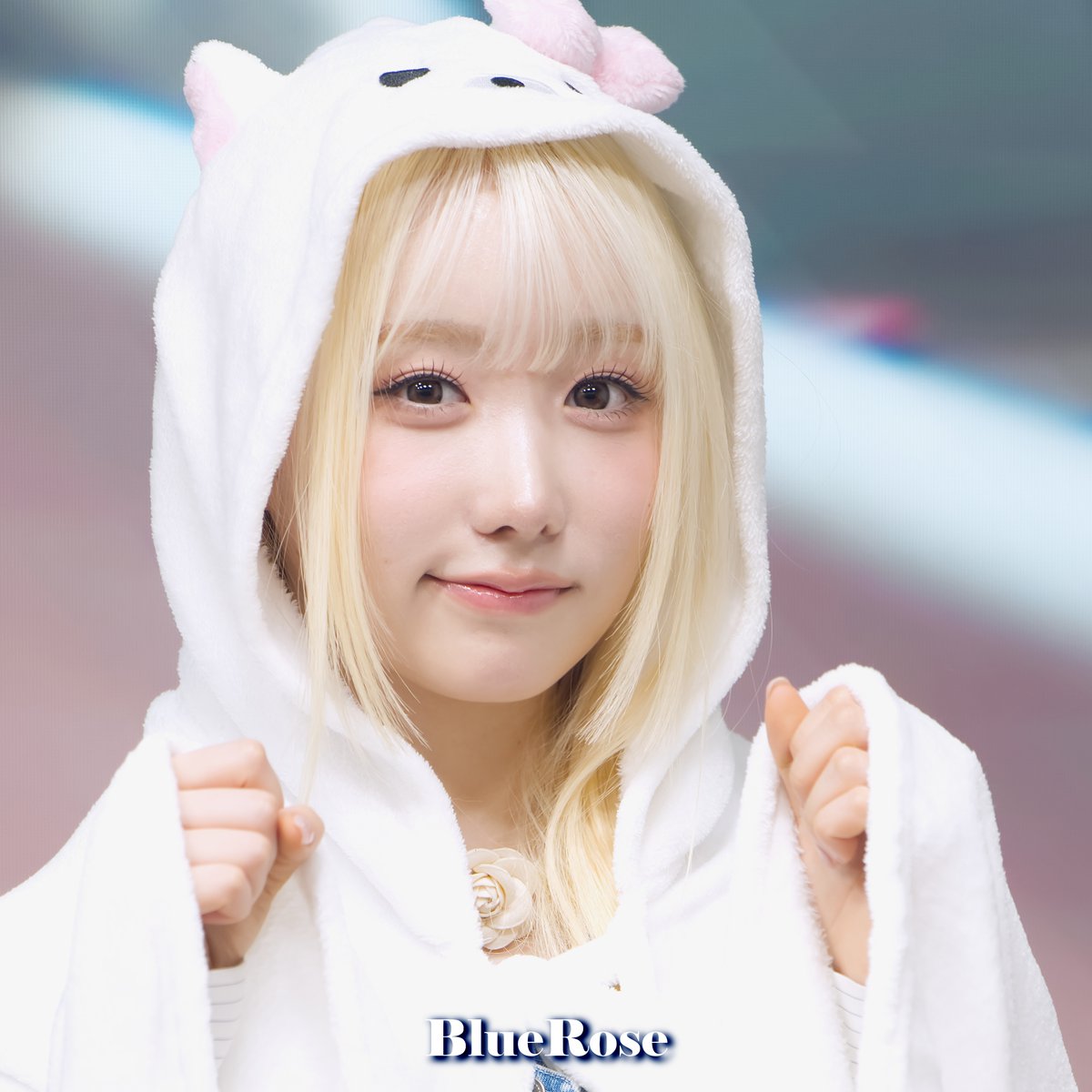 BlueRose 💙 tweet media