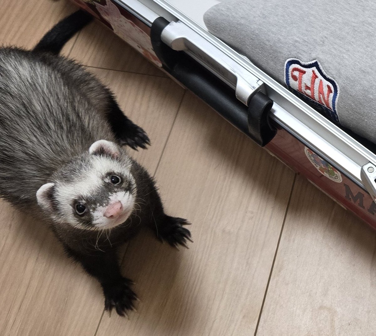 うなぎ🍥 tweet media