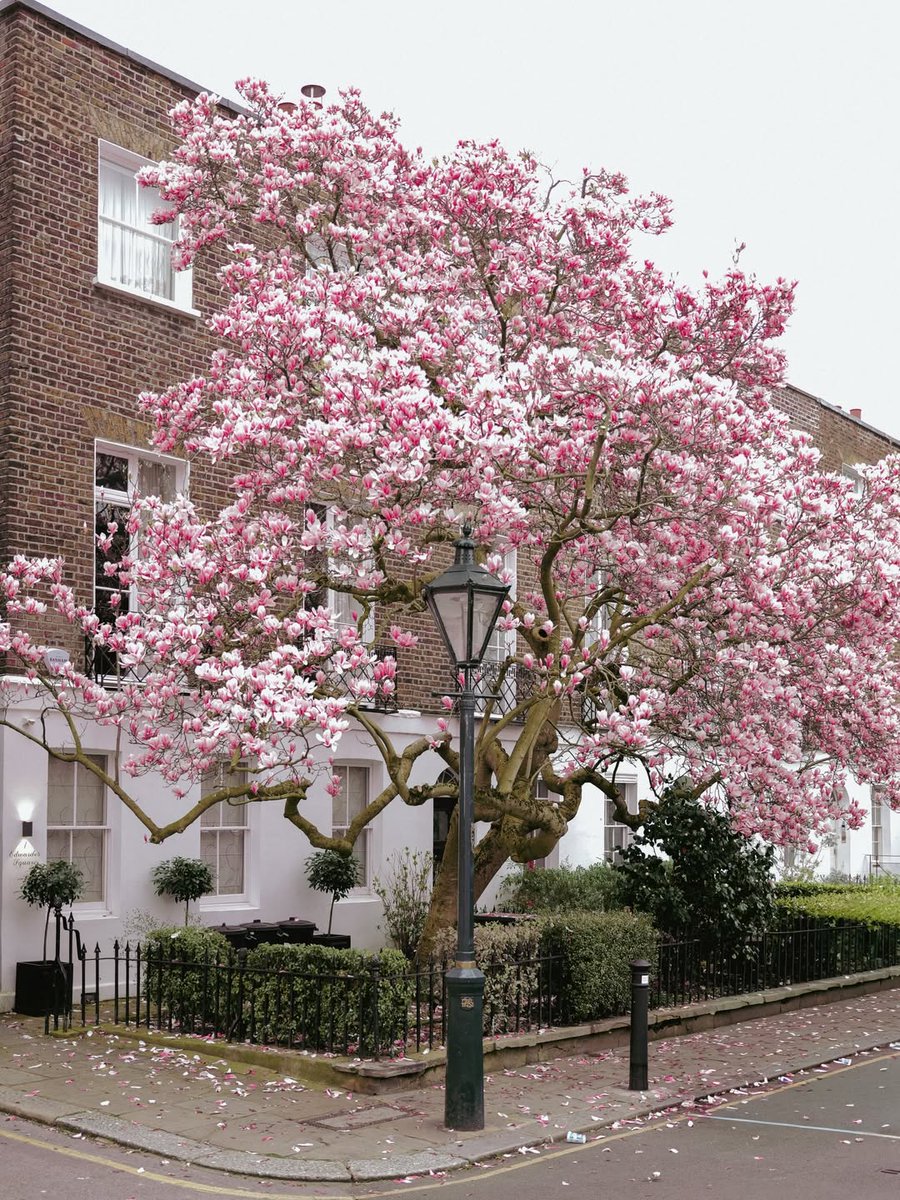 Visit London tweet media