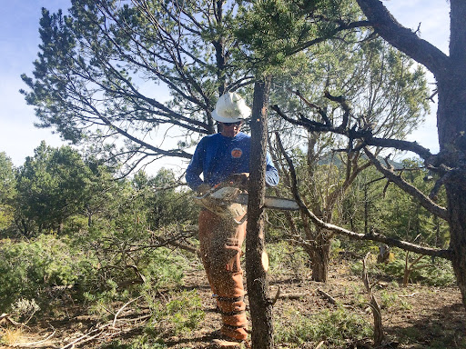 Moore Charitable tweet media