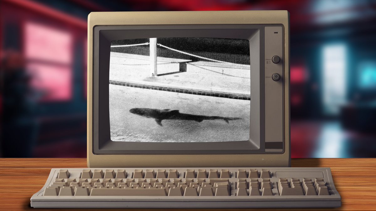 Red Web 🔴🕸 tweet media