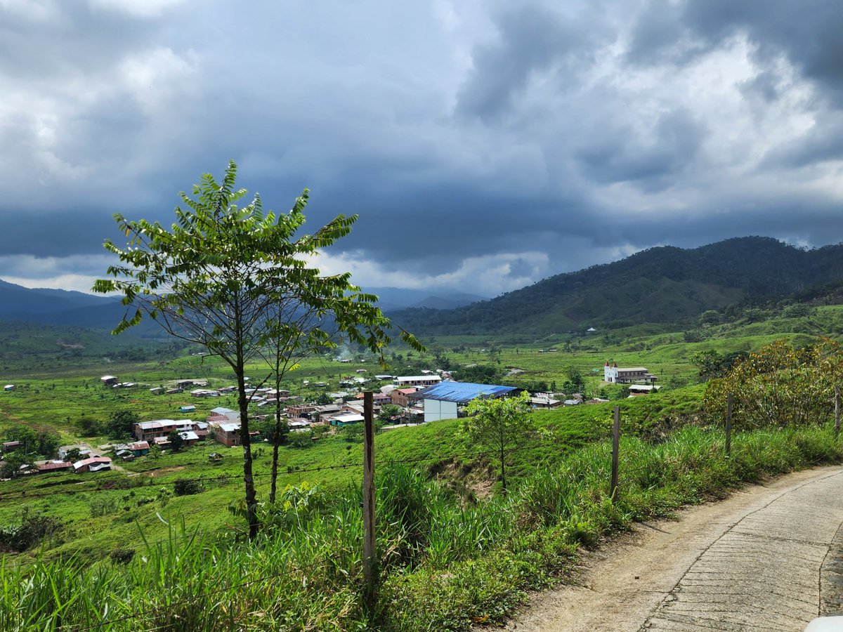 Conpazcol tweet media