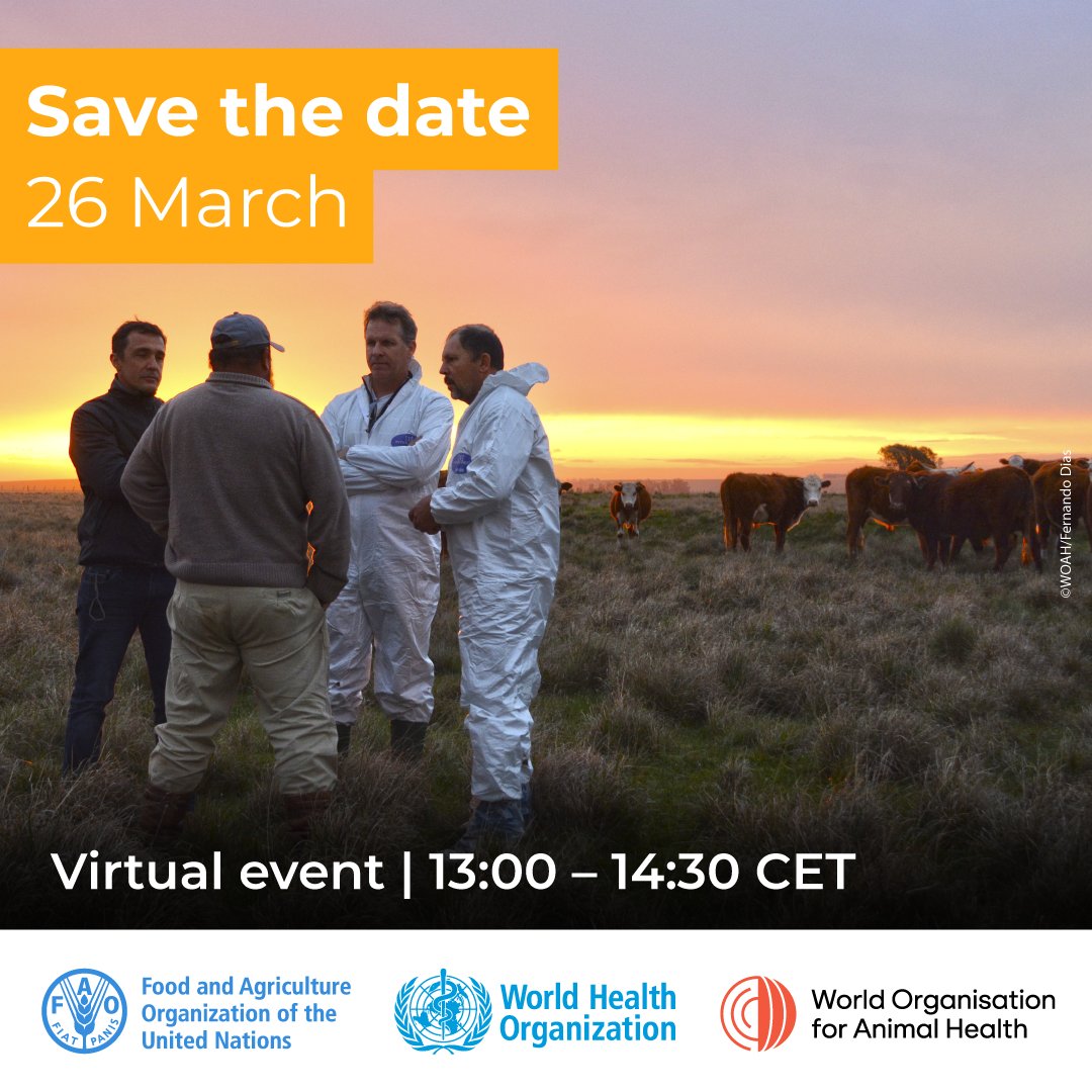 FAO Livestock tweet media