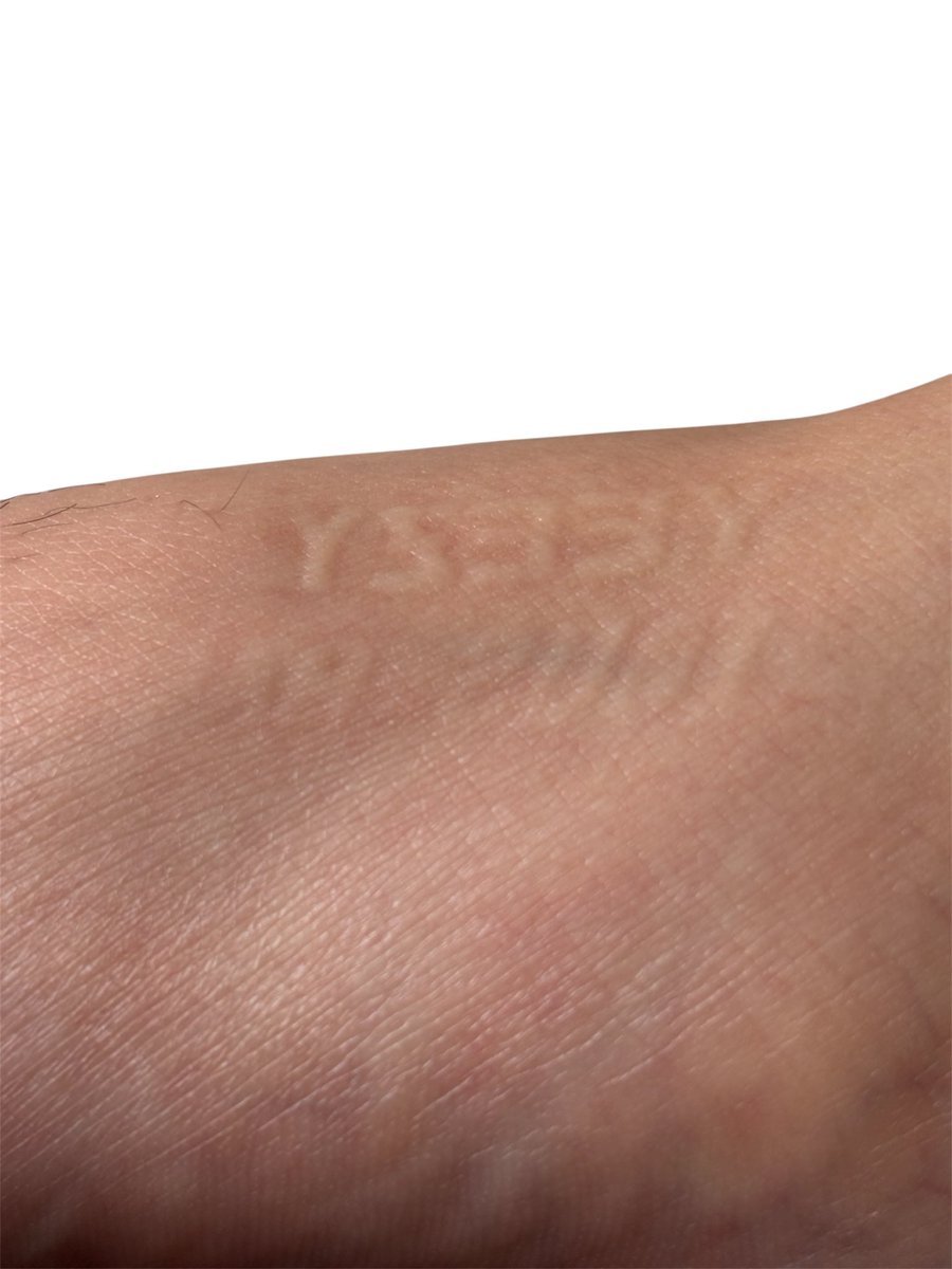 YZYSKINS2027. <a href="/kanyewest/">ye</a>