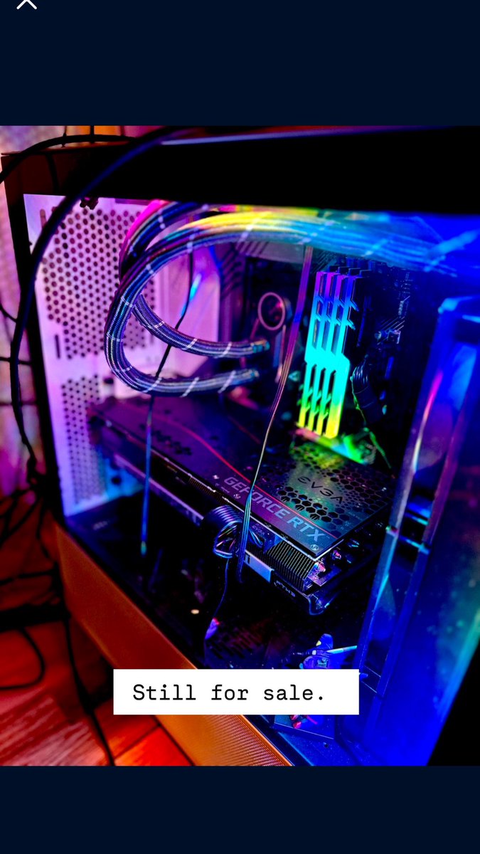 Rebellions tweet media