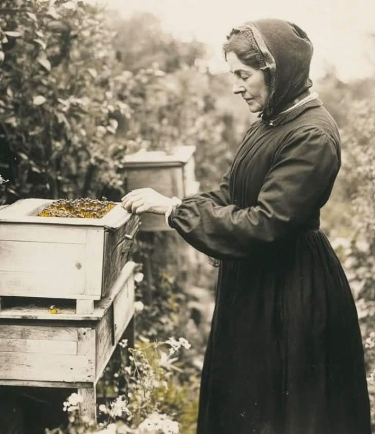 ArchaeoHistories tweet media