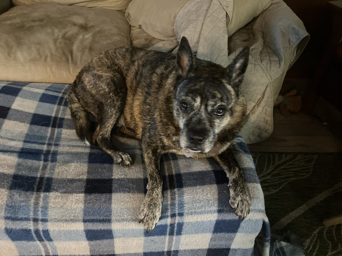 ElCactiDelPedro🌵™ tweet media