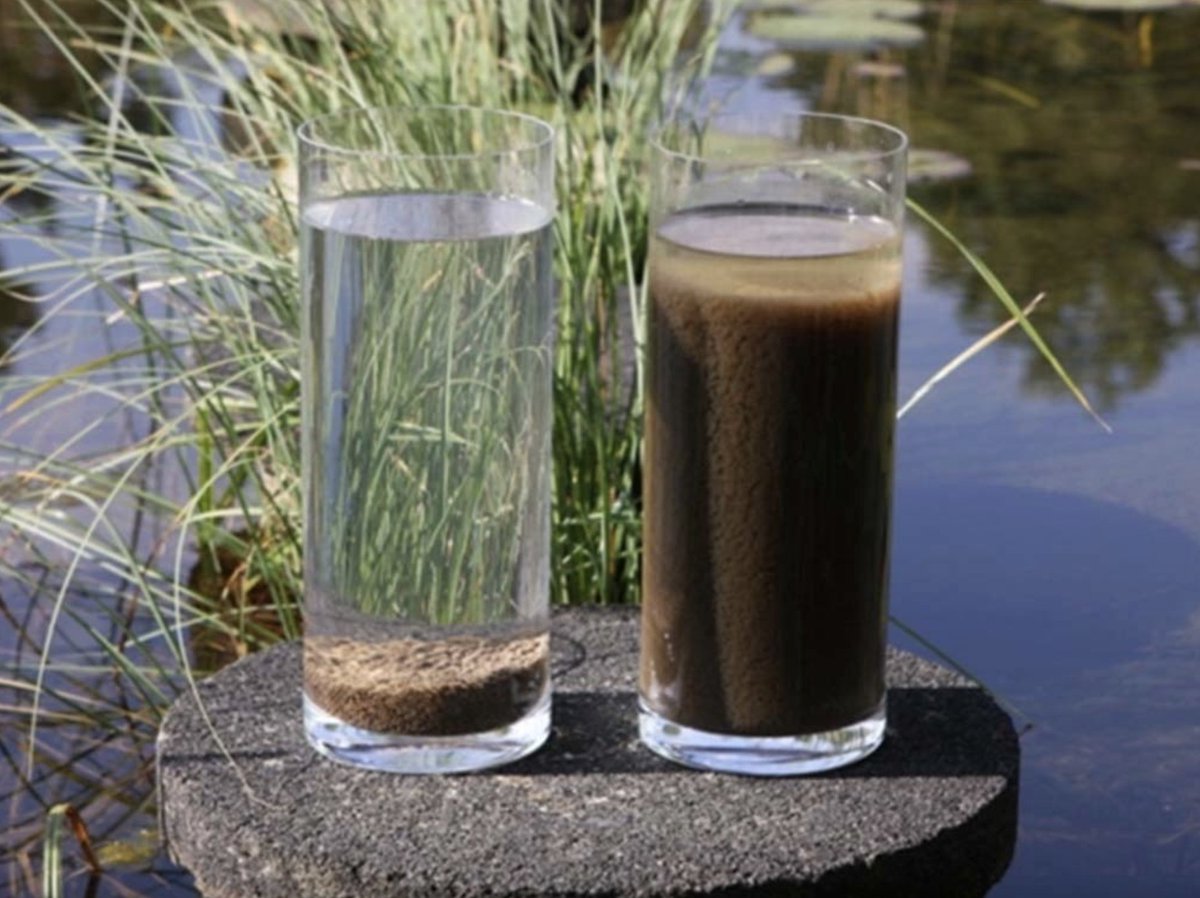 TPO Magazine tweet media