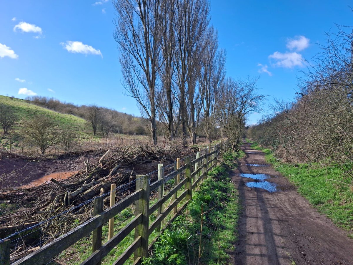 MenWalkTalk tweet media