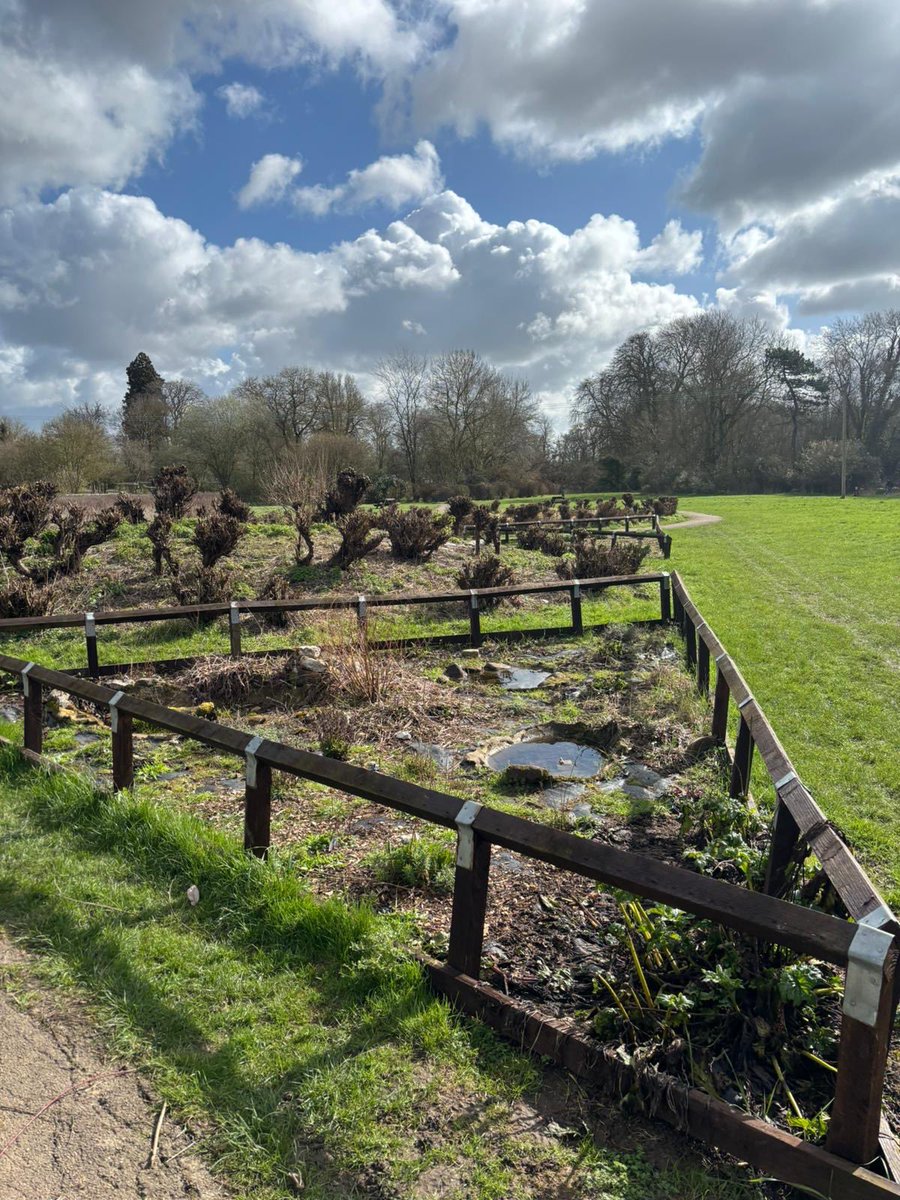 MenWalkTalk tweet media