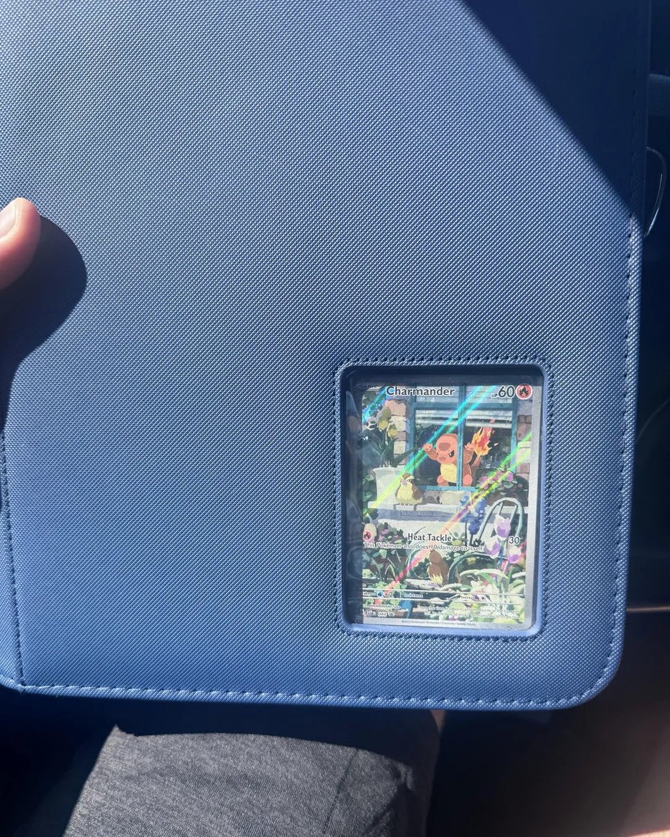 This binder might be perfect for the Window Charmander Pokmon card  (via  merphy90/Reddit)