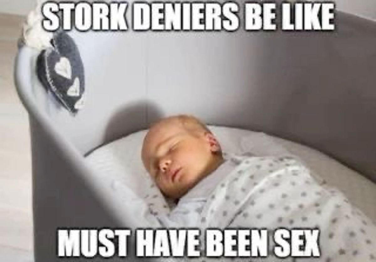 horse dentist tweet media