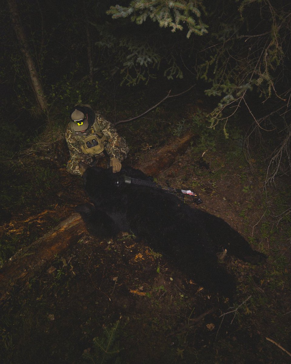 First Lite tweet media