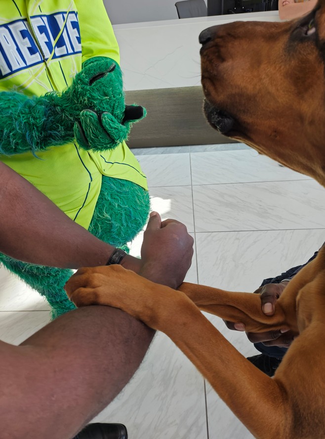 State Credit Union tweet media