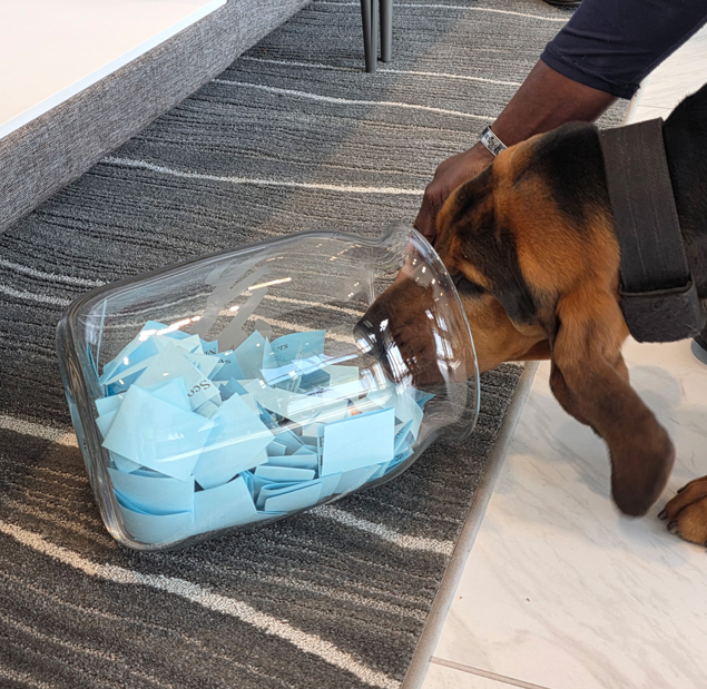 State Credit Union tweet media