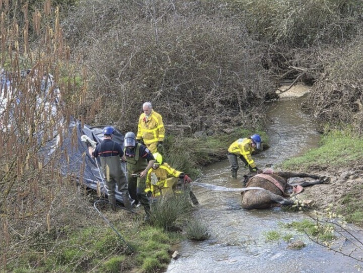 LFPCheval tweet media