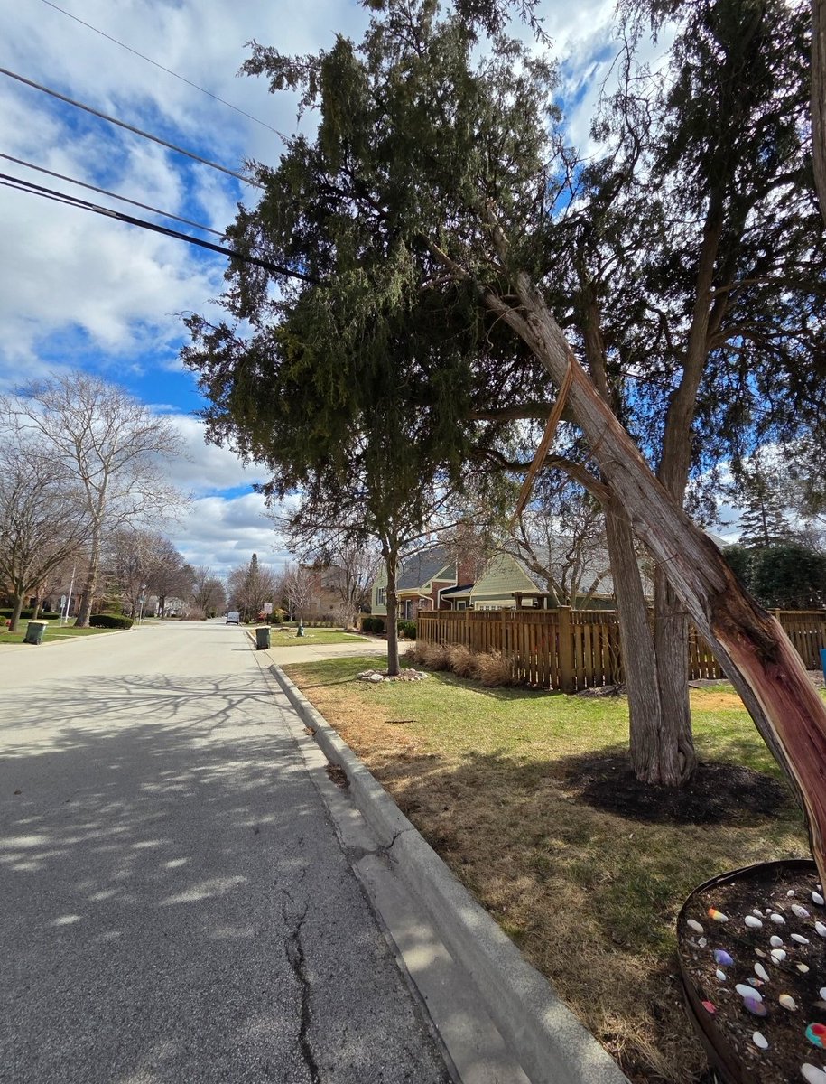 Maker Bayfield tweet media