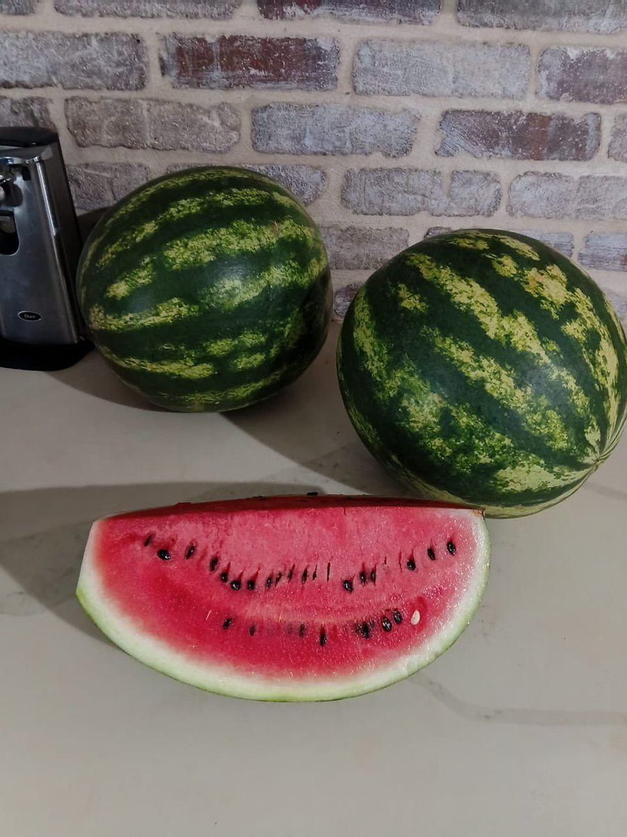 Builder Baddie tweet media