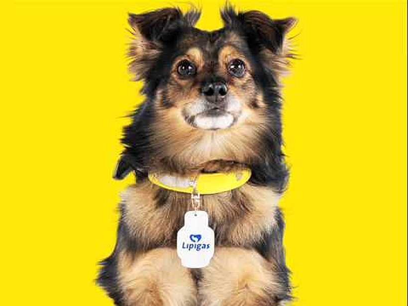 CamiloGhost🇨🇱 tweet media