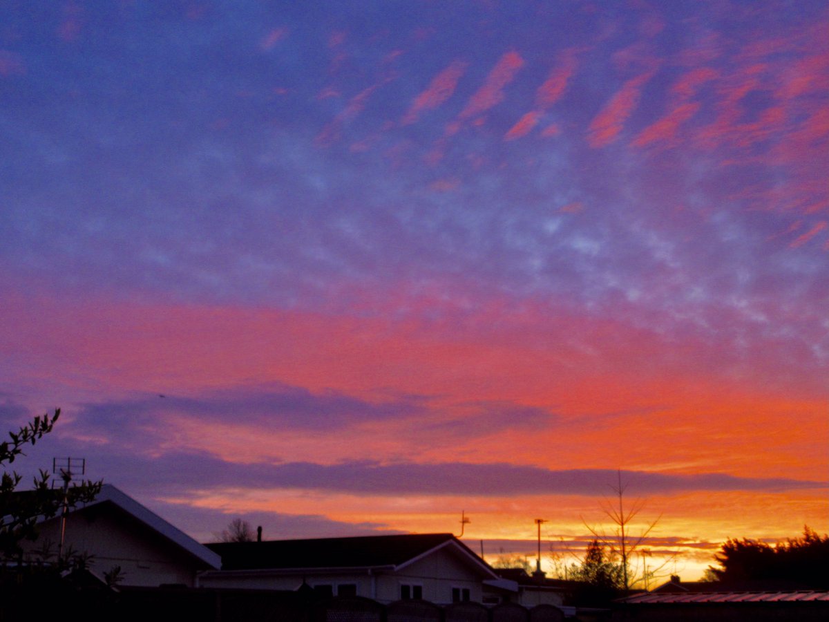 Susan Danielis Marshall tweet media