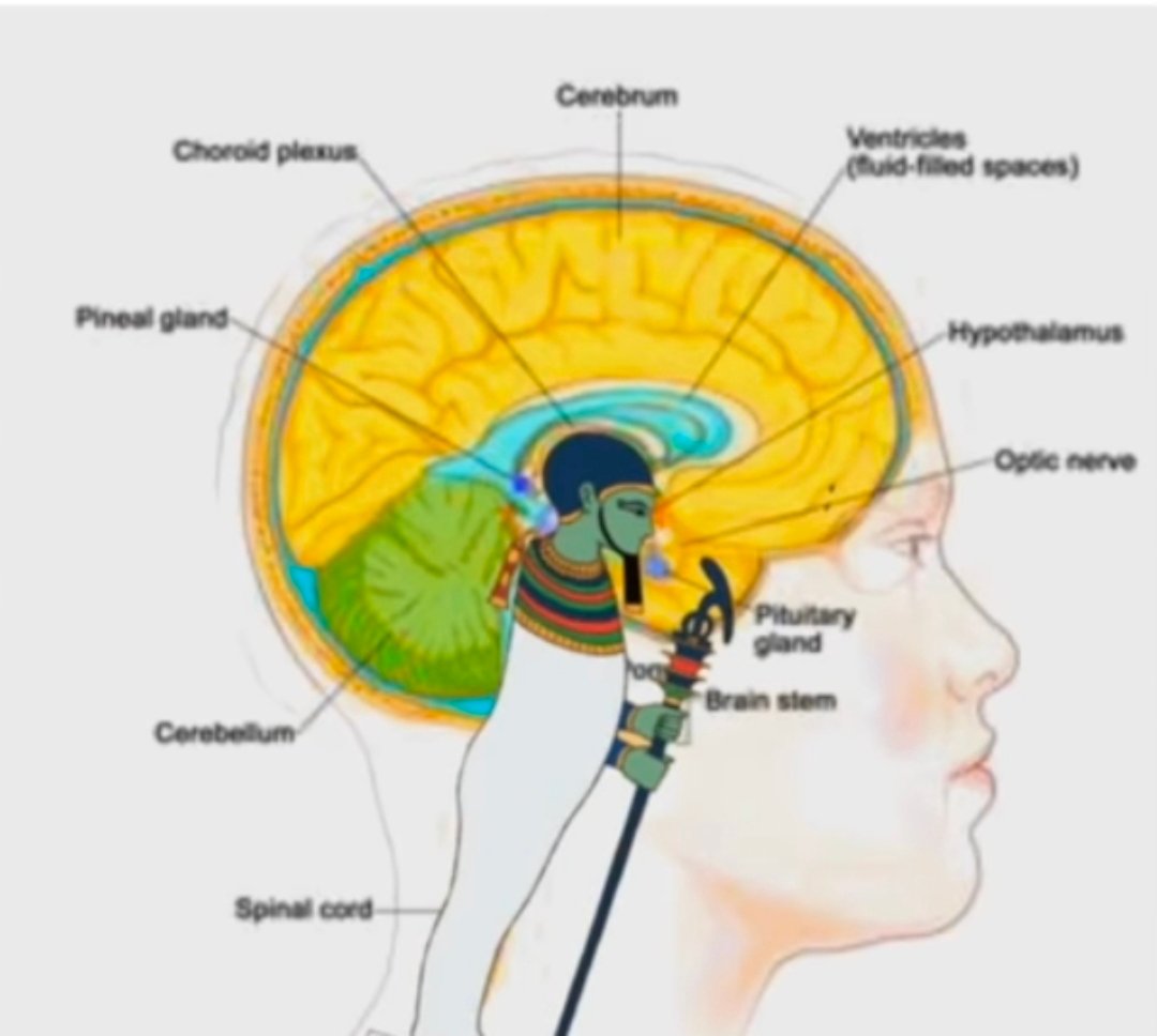 ๐๐๐๐๐๐๐๐ tweet media