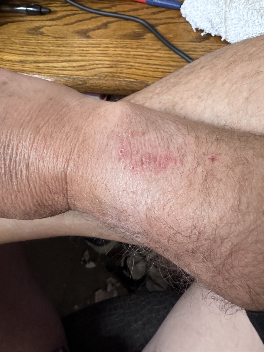 Steve Mullaney tweet media