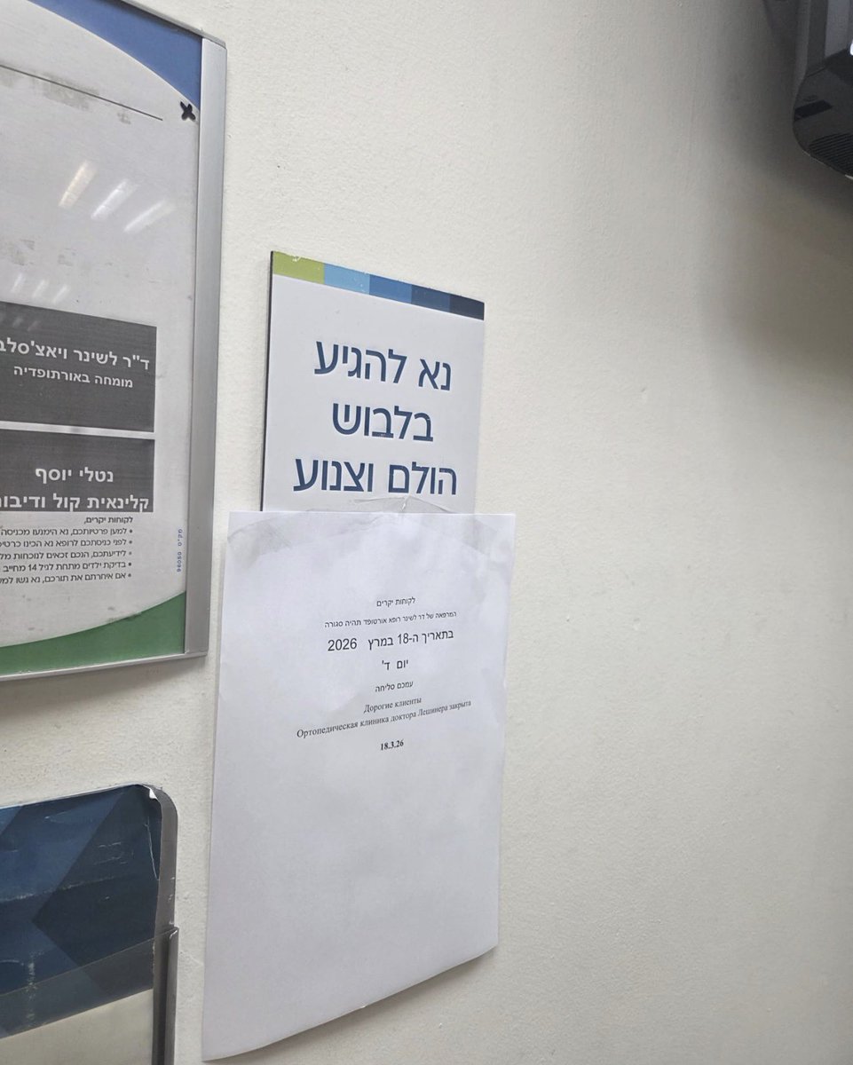 Naor Narkis נאור נרקיס tweet media