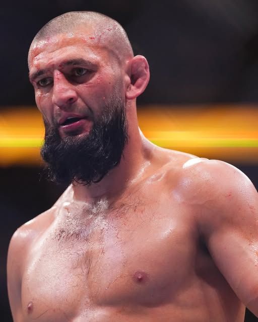 The Fight Fanatic tweet media