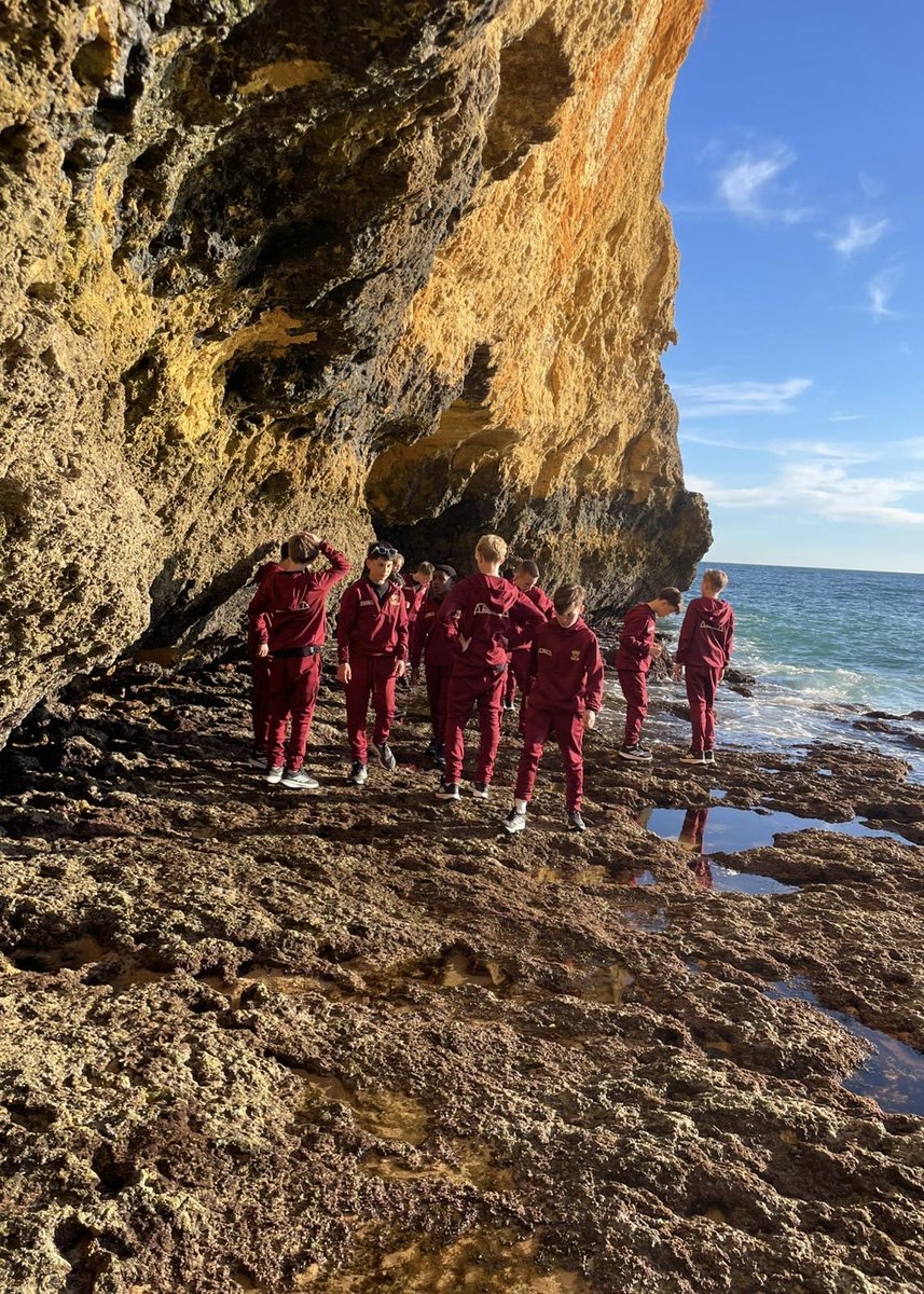 Go Ahead Eagles Voetbalacademie 🦅 tweet media