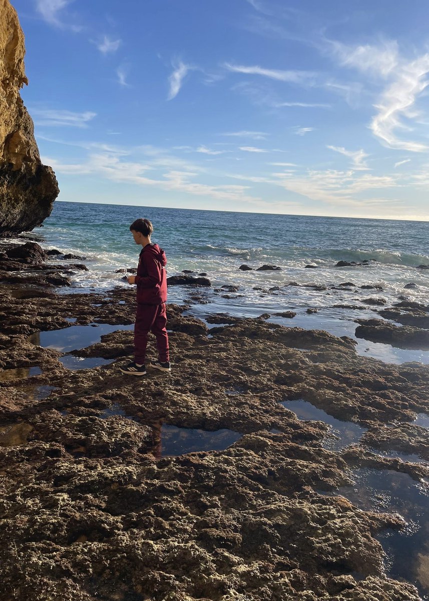 Go Ahead Eagles Voetbalacademie 🦅 tweet media