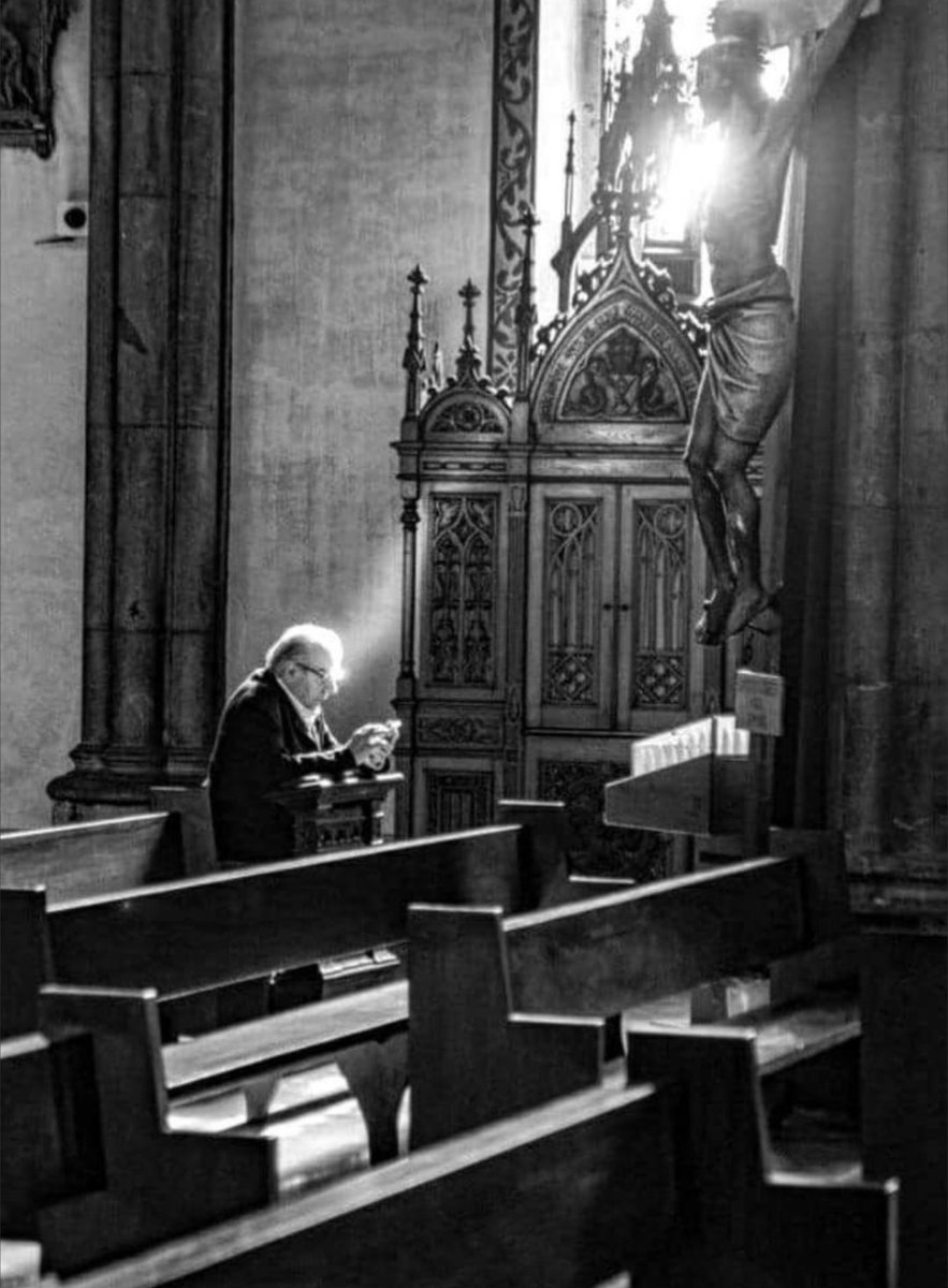 St. Maximilian tweet media